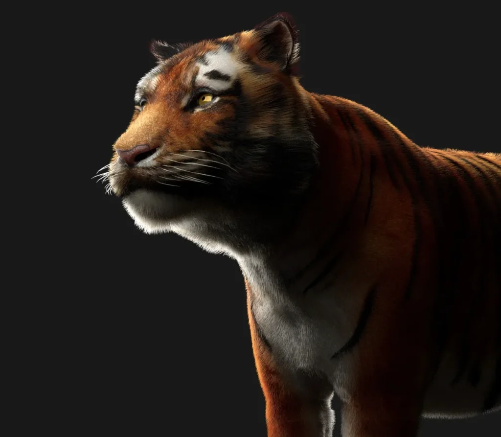 An example of 3D Animals modelling